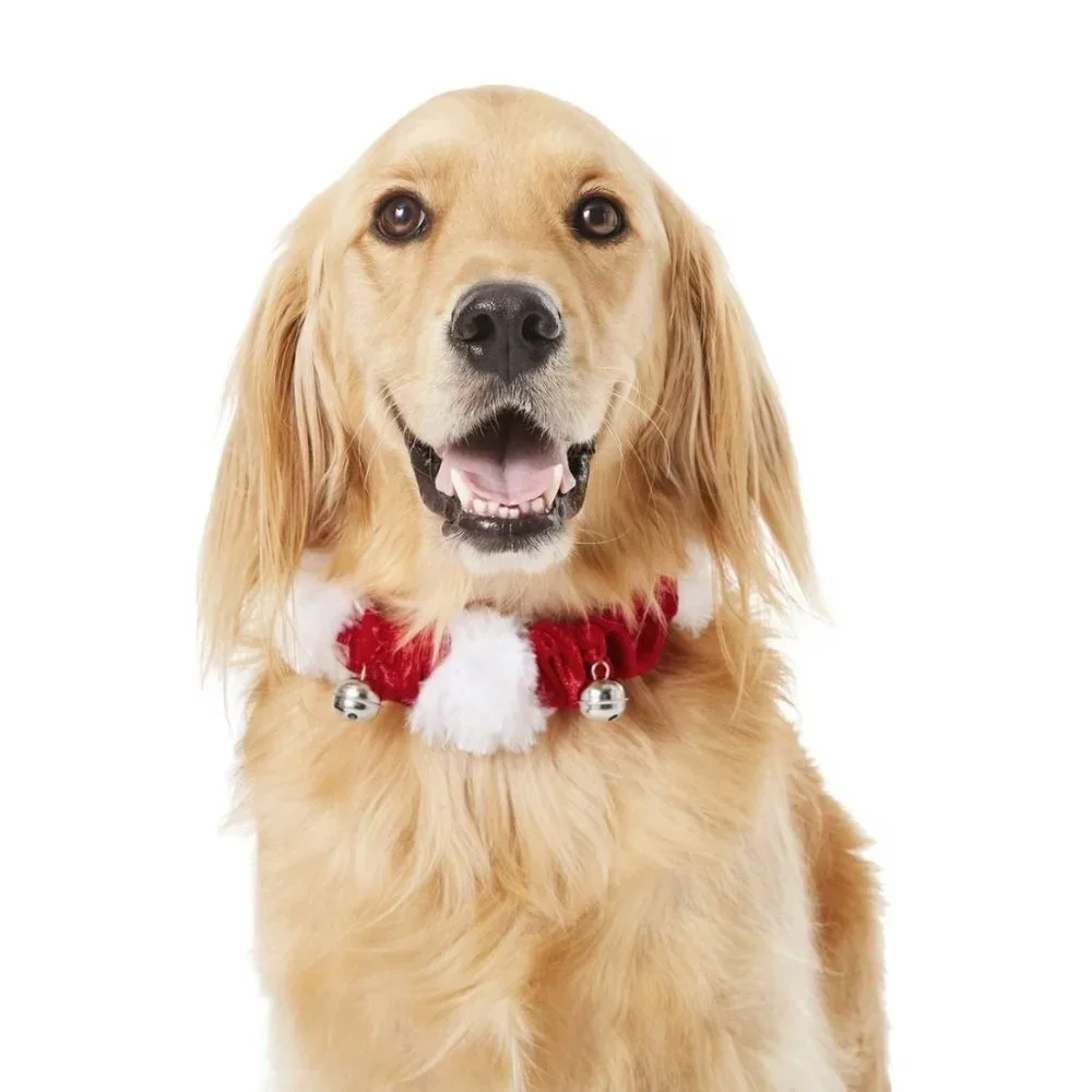 Jingle Bells Dog and Cat Holiday Collar with Bells